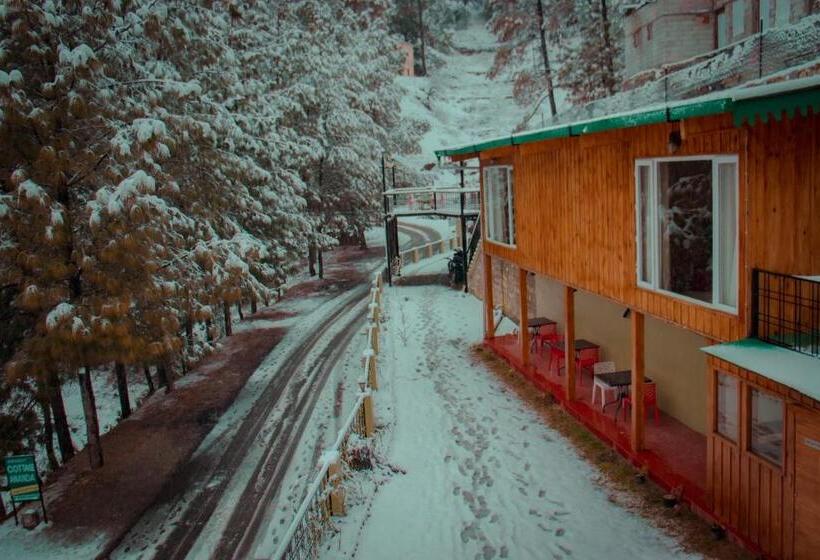 酒店 Thehimalayanliving Whistling Pines