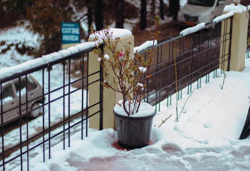 酒店 Thehimalayanliving Whistling Pines