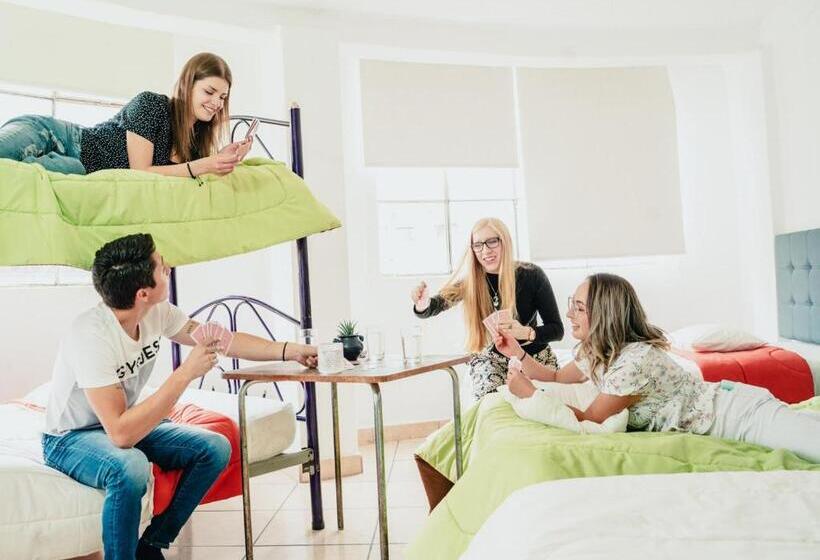 호스텔 Hostal Siberia Cuenca