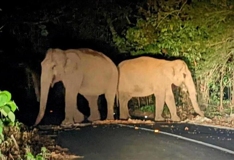 Athirappilly Polaris Resort