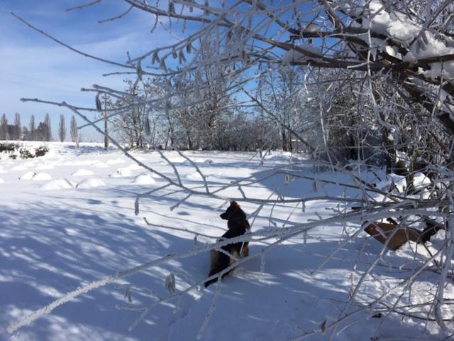 호텔 Agriturismo Il Capitolo