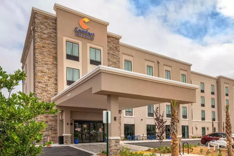 ホテル Comfort Inn & Suites Jacksonville   Orange Park Near Naval Air Station