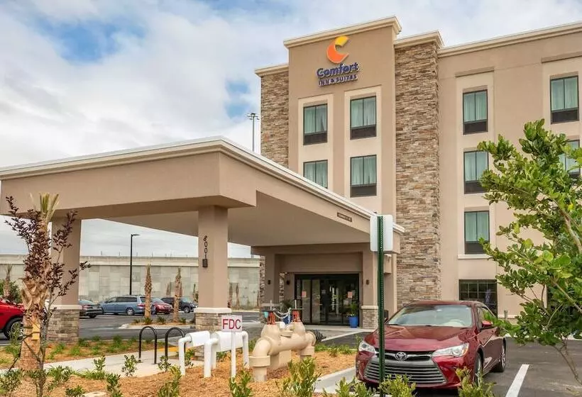 ホテル Comfort Inn & Suites Jacksonville   Orange Park Near Naval Air Station