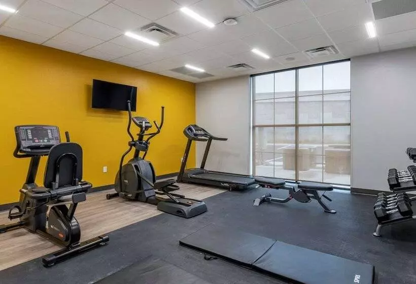 ホテル Comfort Inn & Suites Jacksonville   Orange Park Near Naval Air Station
