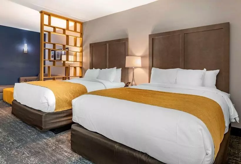 ホテル Comfort Inn & Suites Jacksonville   Orange Park Near Naval Air Station
