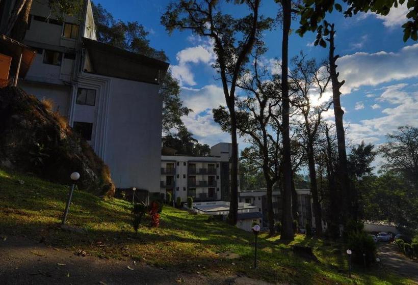 호텔 Munnar Black Forest Resort