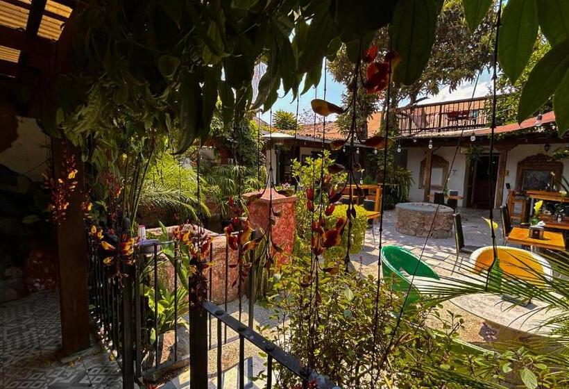 هتل Nikikot Hostel &