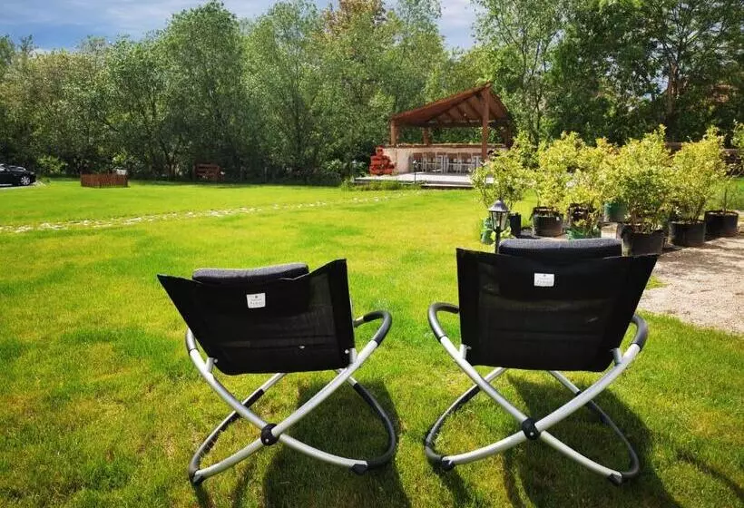 Pensiunea Salina Gymnasium