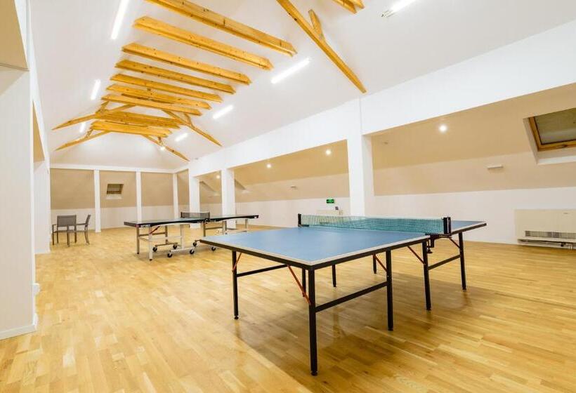 Pensiunea Salina Gymnasium