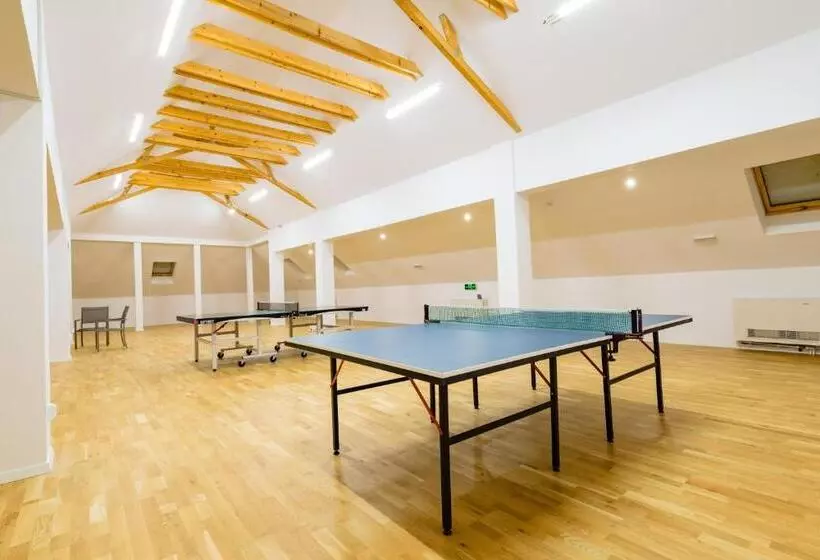 Pensiunea Salina Gymnasium