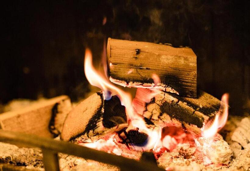 Pensiunea Salina Gymnasium