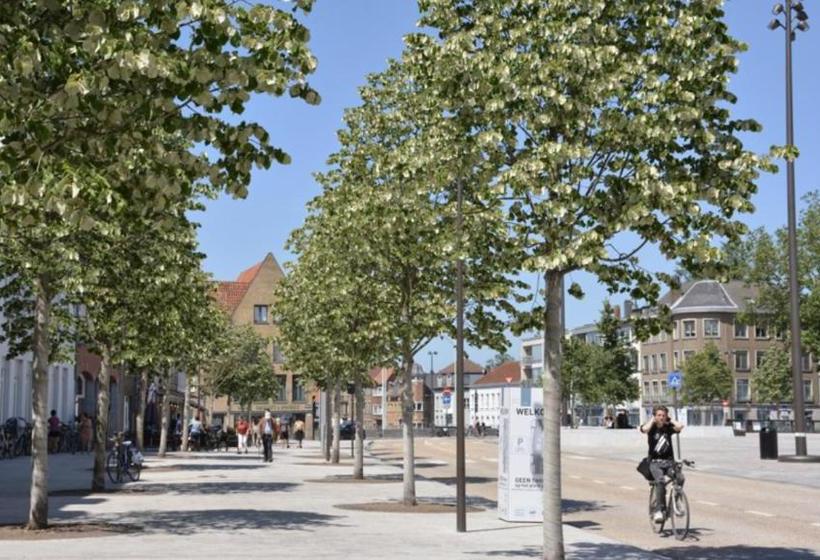 בית מלון כפרי The 5