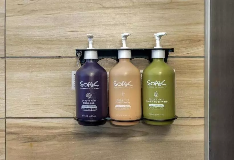 Tequila Sunrise Hostel Surfers Paradise