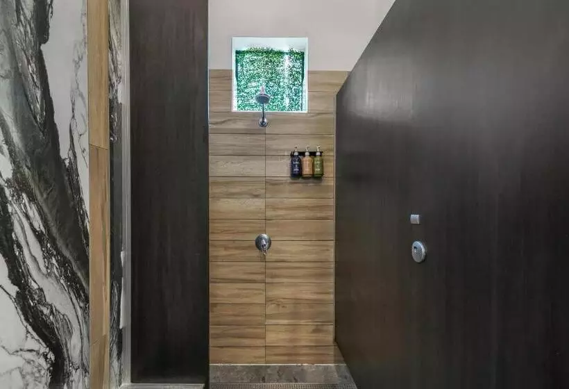 Tequila Sunrise Hostel Surfers Paradise