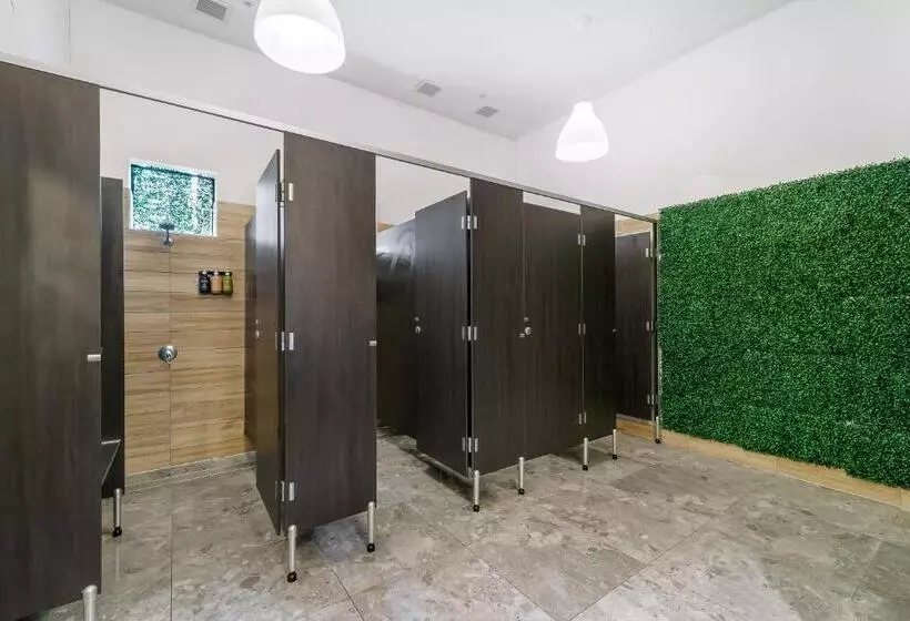 Tequila Sunrise Hostel Surfers Paradise