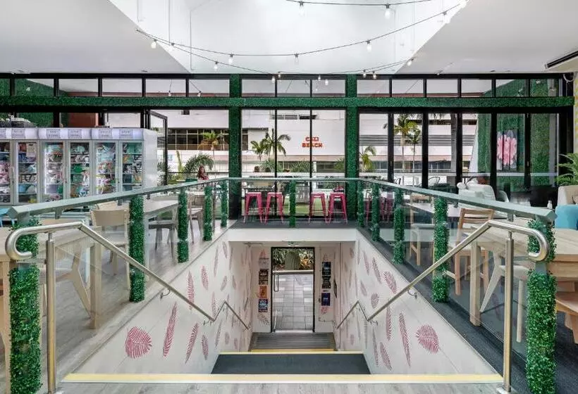 Tequila Sunrise Hostel Surfers Paradise