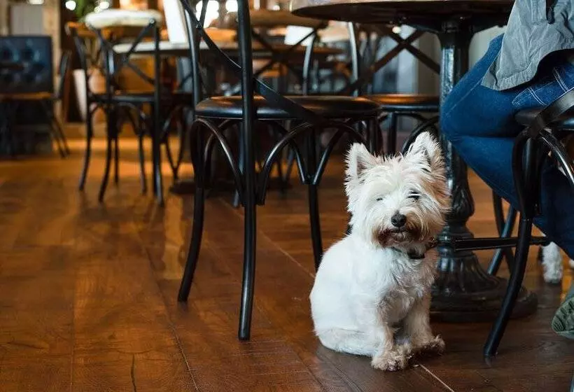 Hotelli The Seaburn Inn   The Inn Collection Group