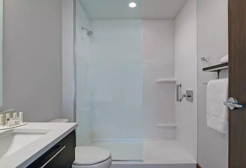 ホテル Towneplace Suites By Marriott Cincinnati Downtown