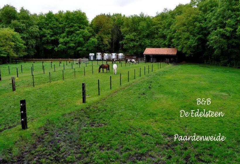 호텔 B&b De Edelsteen