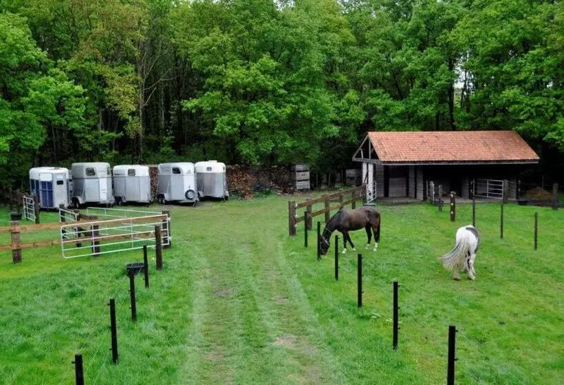 Отель B&b De Edelsteen