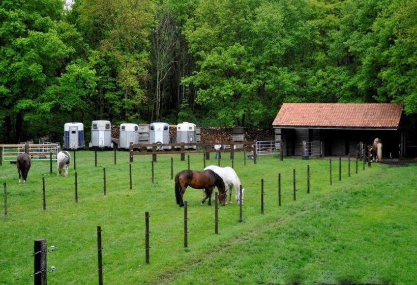 호텔 B&b De Edelsteen