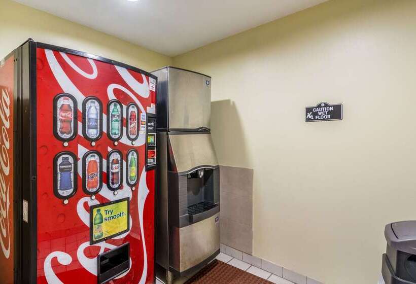 酒店 Comfort Inn & Suites Panama City North