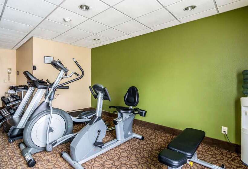 酒店 Comfort Inn & Suites Panama City North