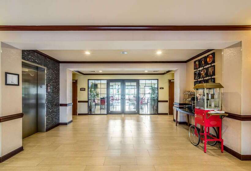 酒店 Comfort Inn & Suites Panama City North