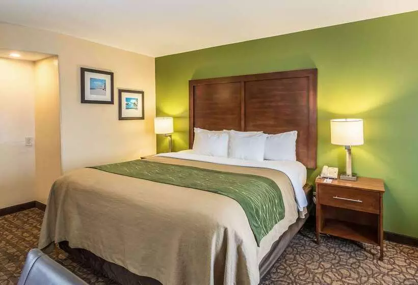 هتل Comfort Inn & Suites Panama City North