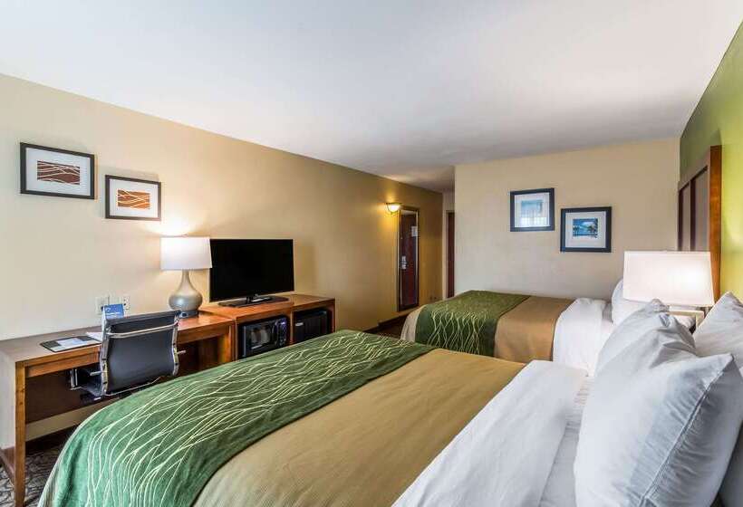酒店 Comfort Inn & Suites Panama City North