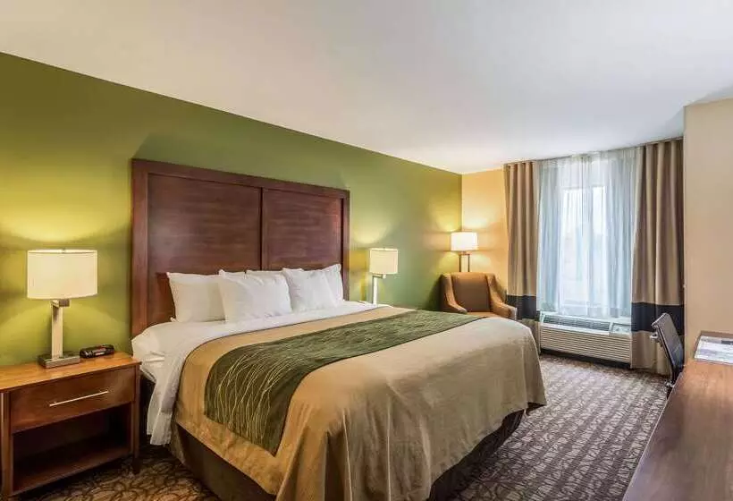 هتل Comfort Inn & Suites Panama City North