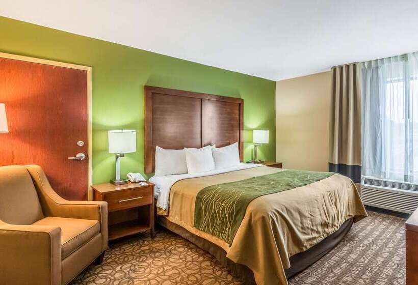 酒店 Comfort Inn & Suites Panama City North