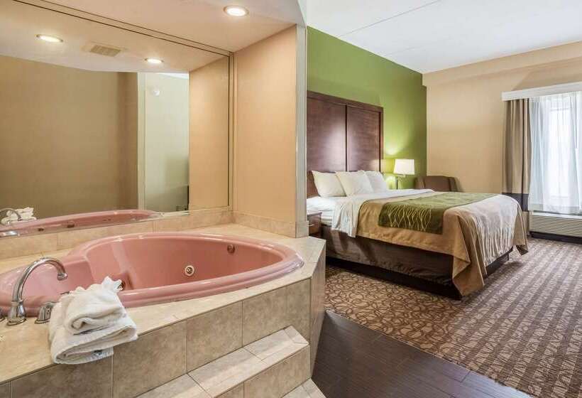 酒店 Comfort Inn & Suites Panama City North