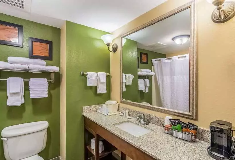 هتل Comfort Inn & Suites Panama City North