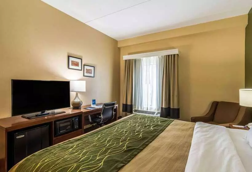 هتل Comfort Inn & Suites Panama City North