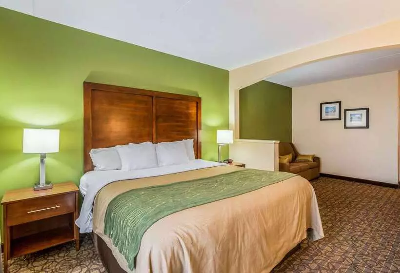 هتل Comfort Inn & Suites Panama City North