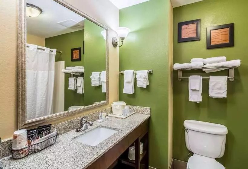 هتل Comfort Inn & Suites Panama City North