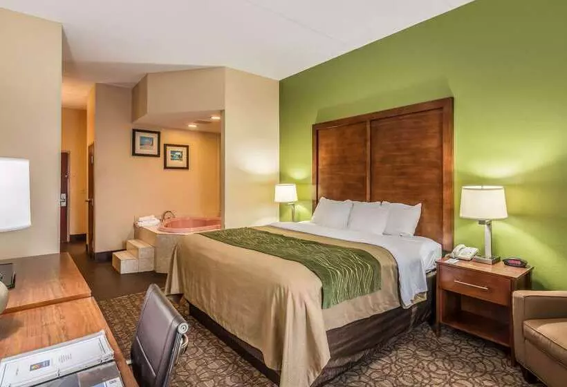 هتل Comfort Inn & Suites Panama City North