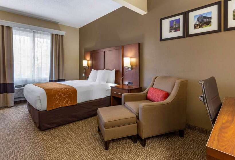 فندق Comfort Suites Raleigh Walnut Creek
