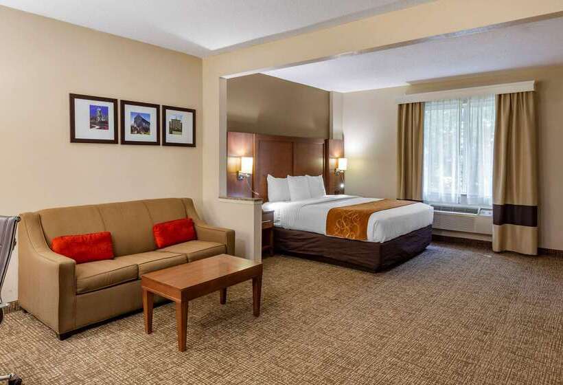 فندق Comfort Suites Raleigh Walnut Creek