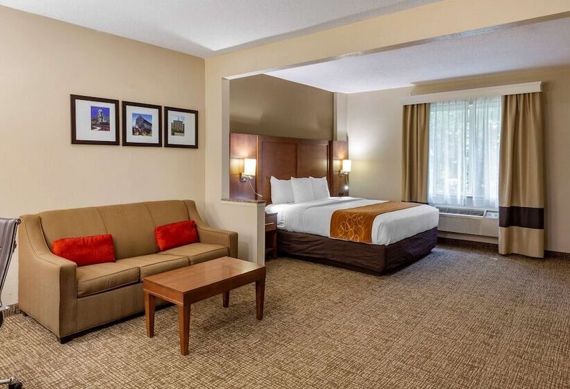 فندق Comfort Suites Raleigh Walnut Creek
