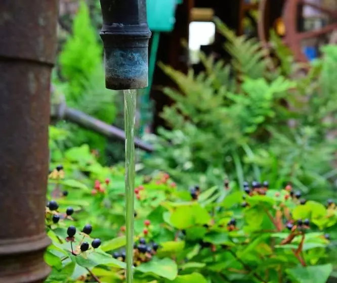 בית מלון כפרי De Stokerij