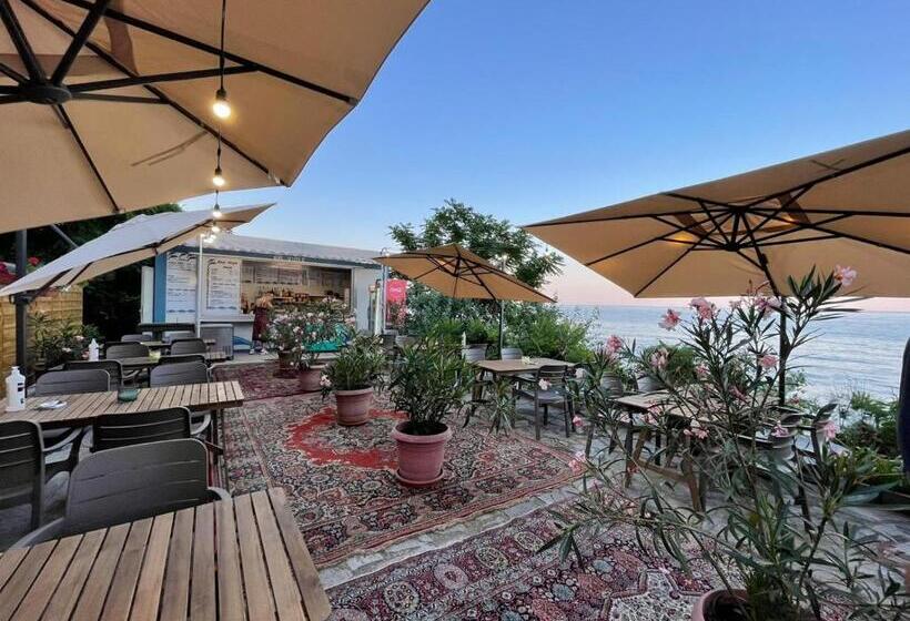 בית מלון כפרי International House Of Journalists Resort