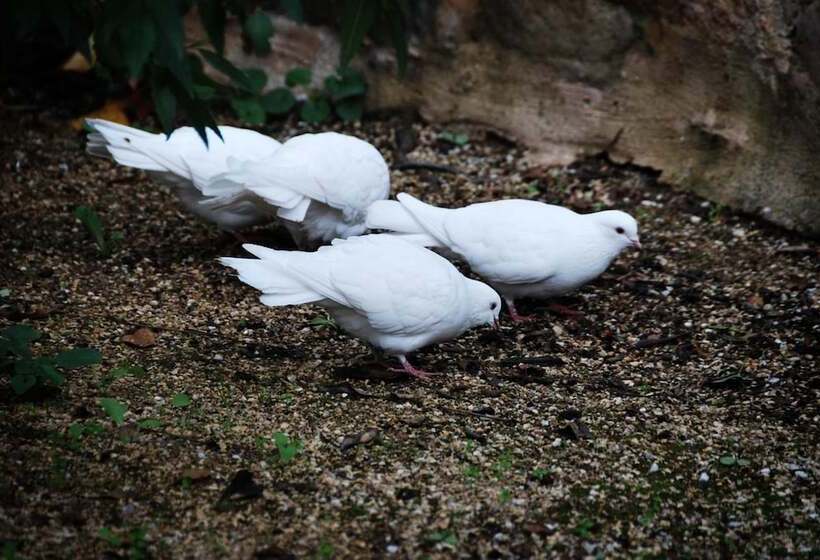 فندق Jacobs Creek Retreat