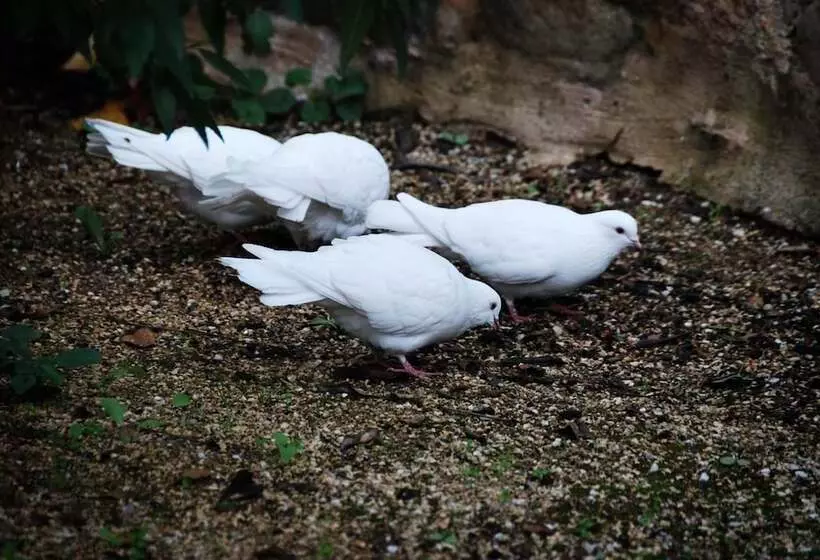 ホテル Jacobs Creek Retreat