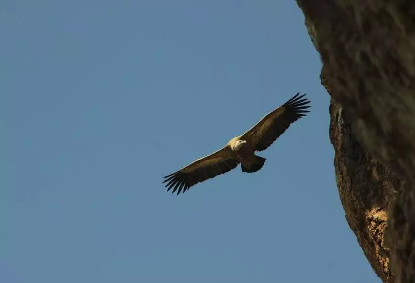 Сельский отель Posada De Uncastillo