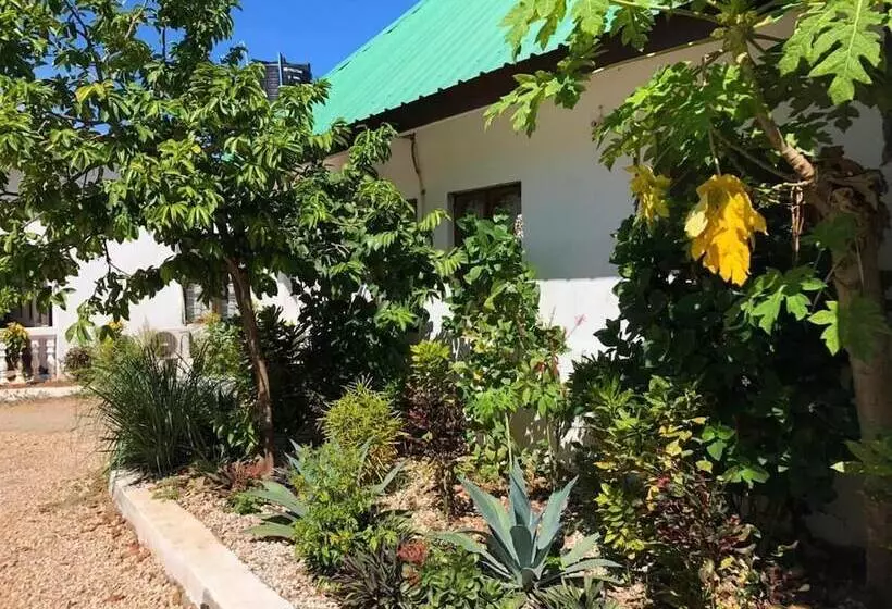 ホテル Nungwi Lodge