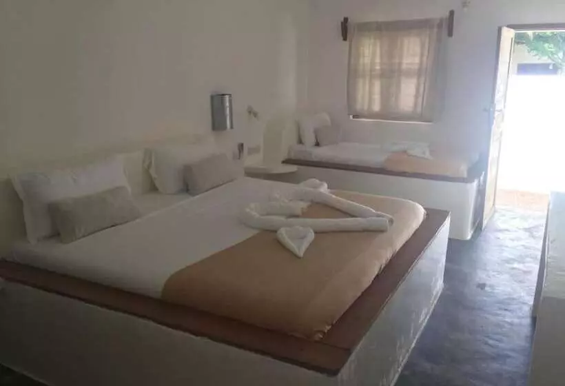 ホテル Nungwi Lodge