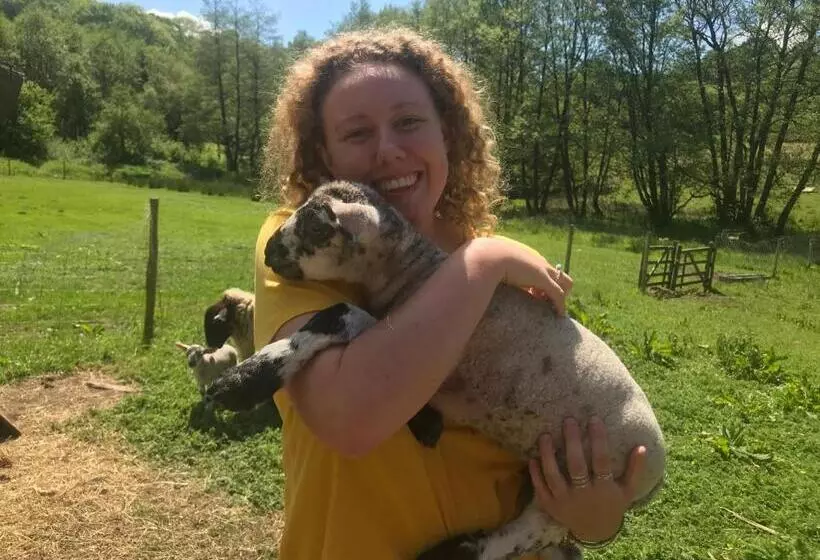 هتل Shepherds Huts Ham Hill, 2 Double Beds, Bathroom, Lounge, Diner, Kitchen, Love Dogs & Cats Looking O