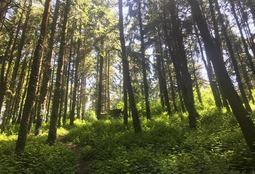 هتل Shepherds Huts Ham Hill, 2 Double Beds, Bathroom, Lounge, Diner, Kitchen, Love Dogs & Cats Looking O